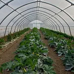 Arte Contadina Séjour à la ferme