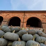 Arte Contadina