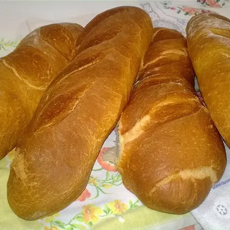 Arte Contadina 팜스테이