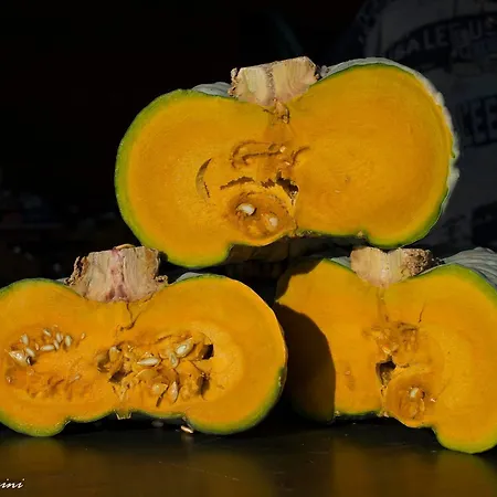 Arte Contadina * Fiorenzuola dʼArda