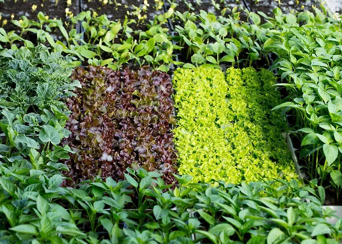 Arte Contadina Bauernhof