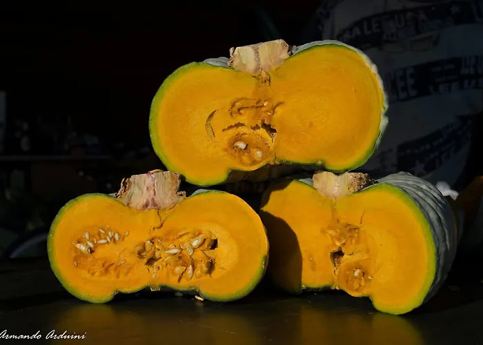 Arte Contadina * Fiorenzuola dʼArda