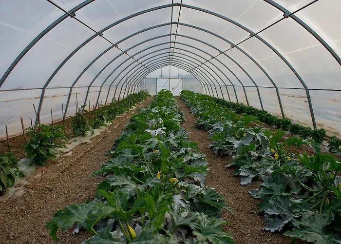 Arte Contadina Bauernhof