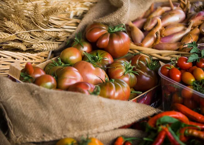 Bauernhof Arte Contadina *