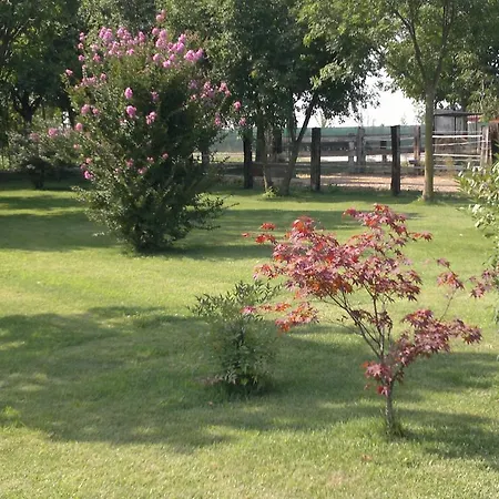 Farmház Arte Contadina Fiorenzuola dʼArda