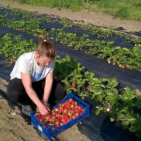 Arte Contadina * Fiorenzuola dʼArda